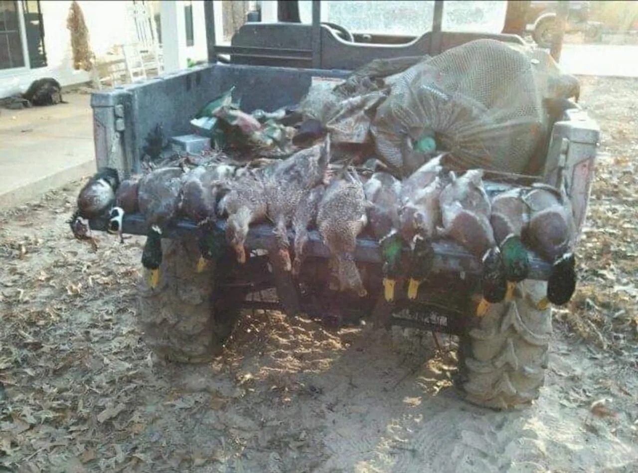 Hunting and Timberland for Sale in Ouachita Parish LA Hunting Land