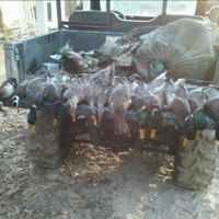 Hunting and Timberland for Sale in Ouachita Parish LA images 1