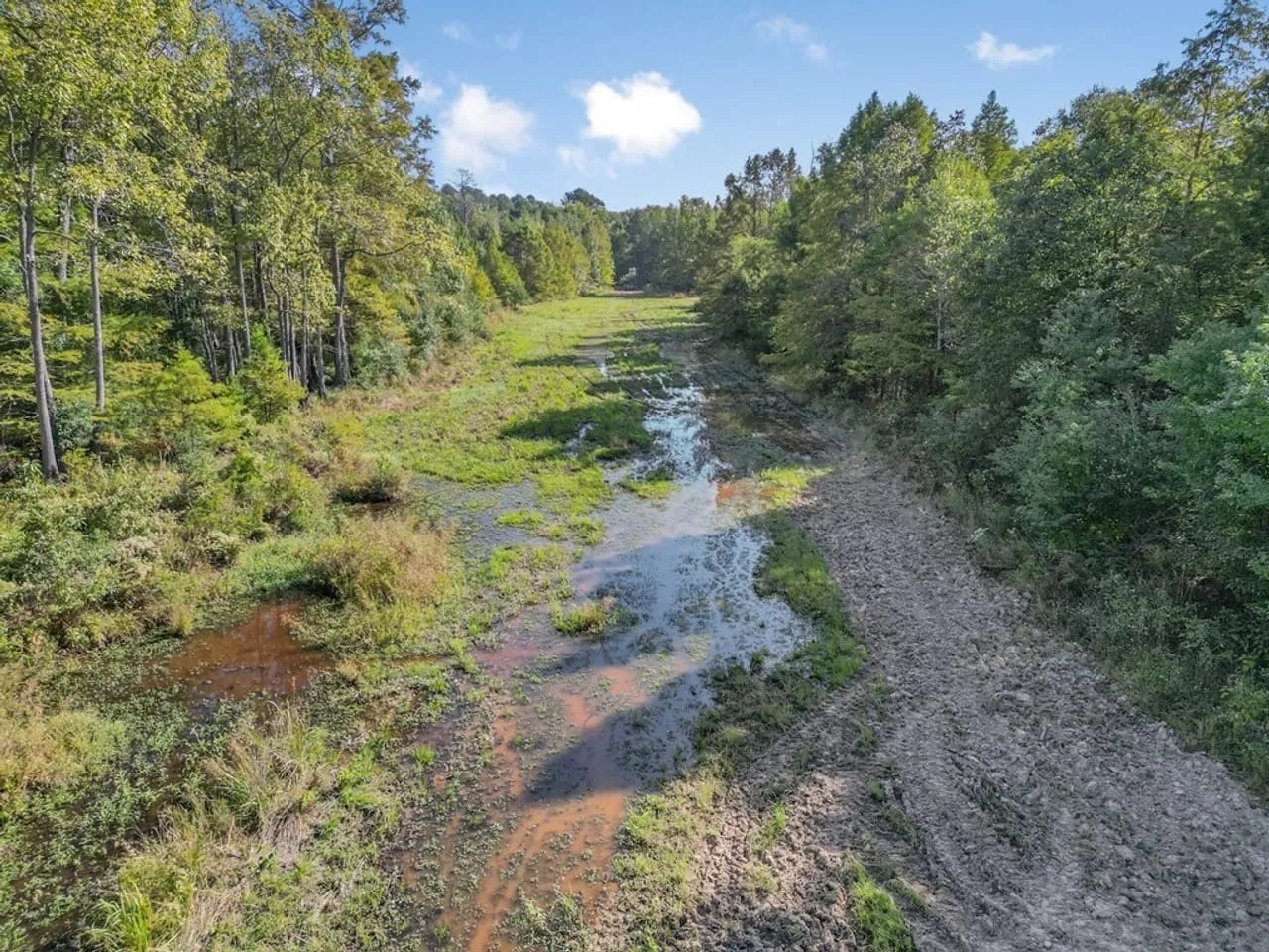 Hunting and Timberland for Sale in Ouachita Parish LA Hunting Land