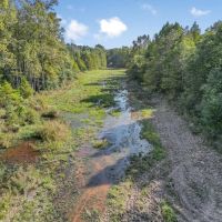 Hunting and Timberland for Sale in Ouachita Parish LA images 2