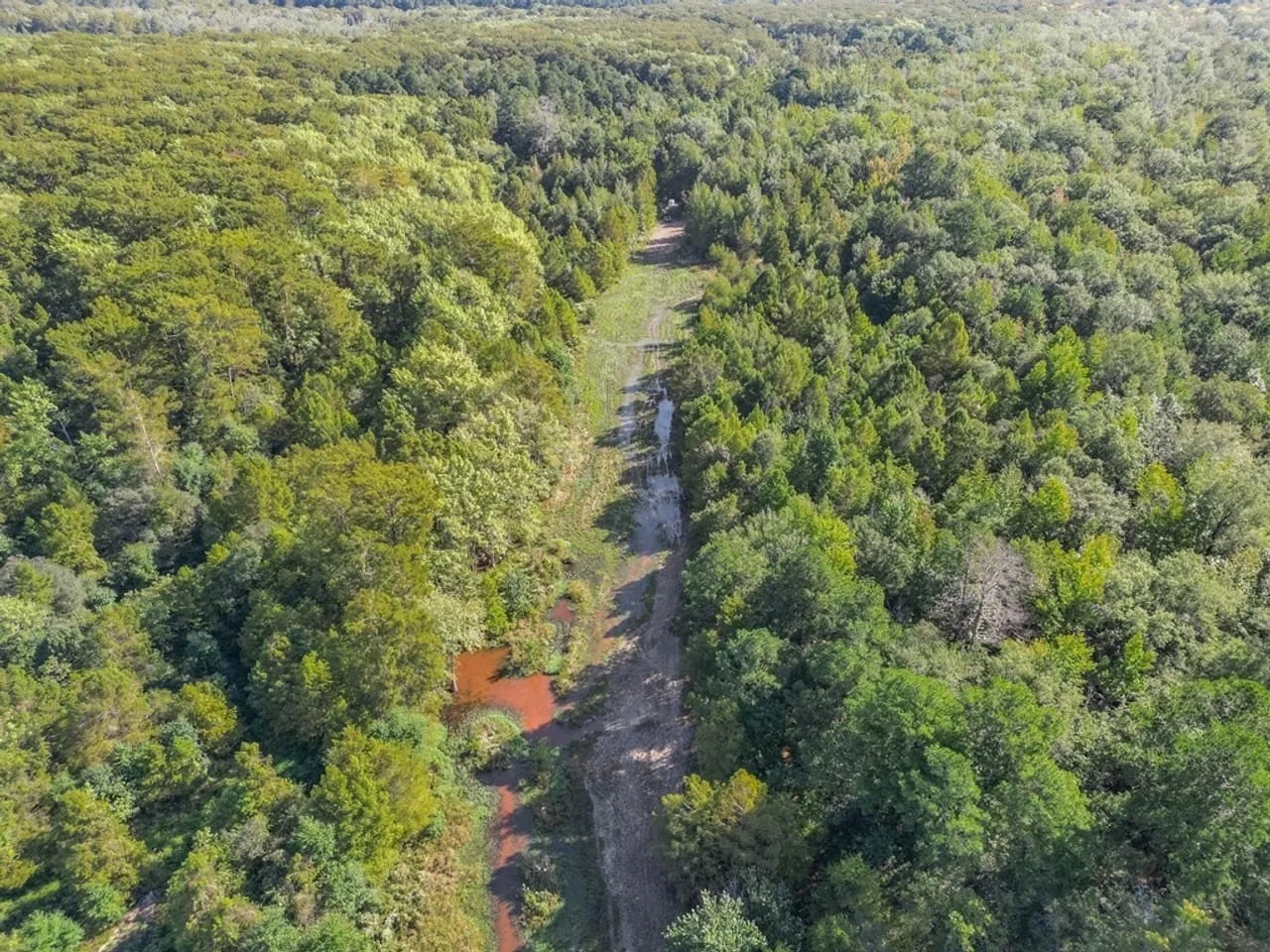 Hunting and Timberland for Sale in Ouachita Parish LA Hunting Land