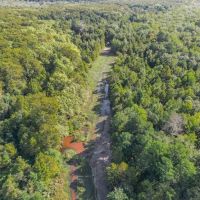Hunting and Timberland for Sale in Ouachita Parish LA images 3
