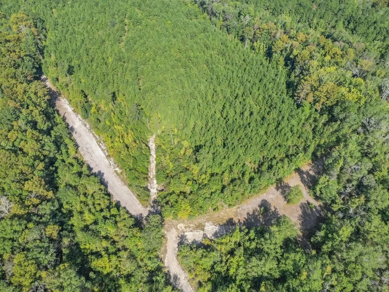 Hunting and Timberland for Sale in Ouachita Parish LA Hunting Land