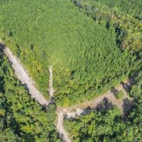 Hunting and Timberland for Sale in Ouachita Parish LA images 5