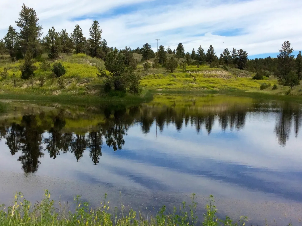 R R Land Company Hunting Land for Sale