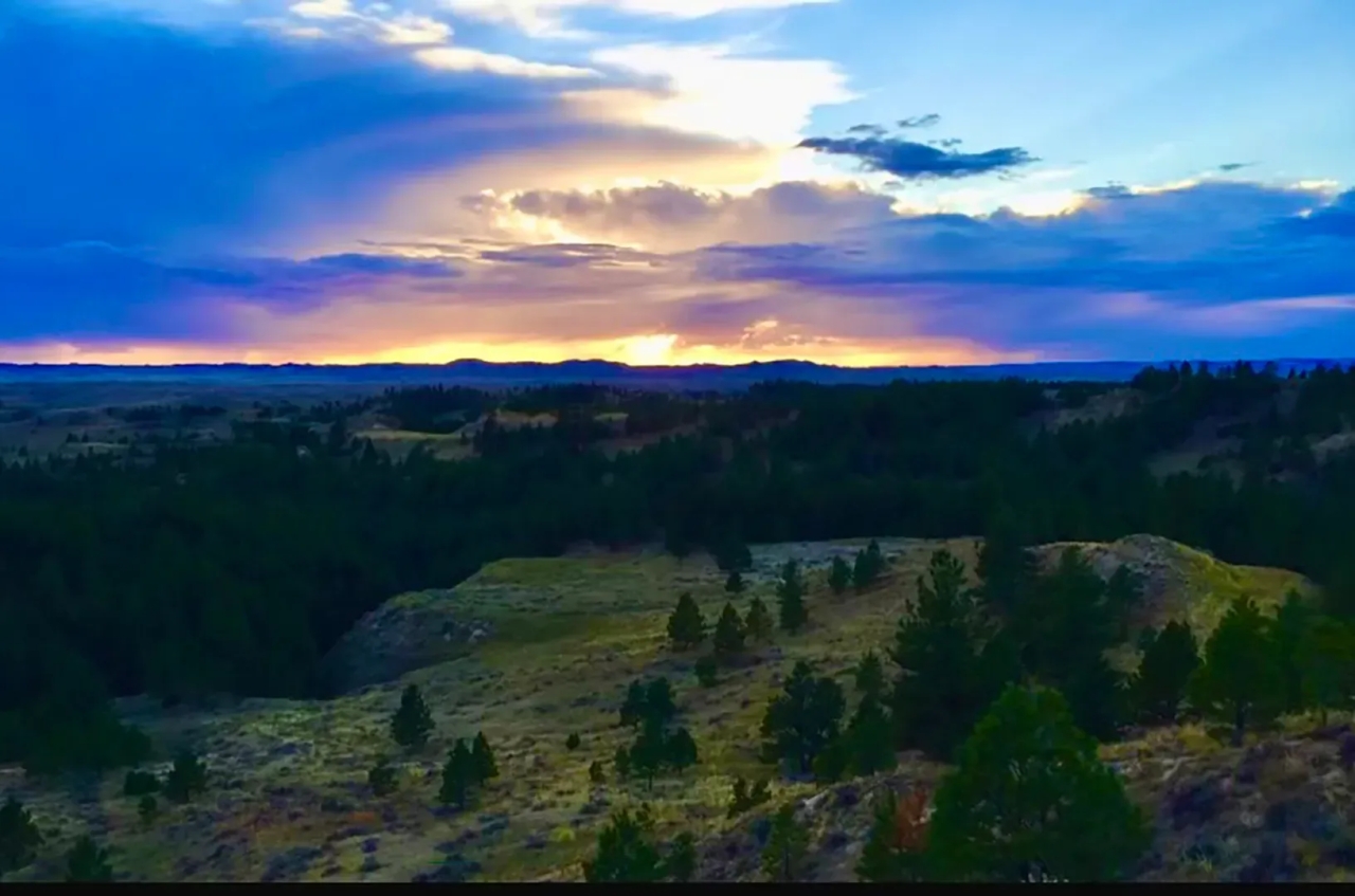 R R Land Company Hunting Land for Sale