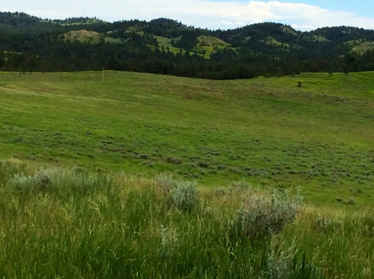 R R Land Company Hunting Land for Sale