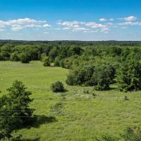 225 Acres FM 1374 images 2