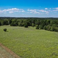 225 Acres FM 1374 images 5