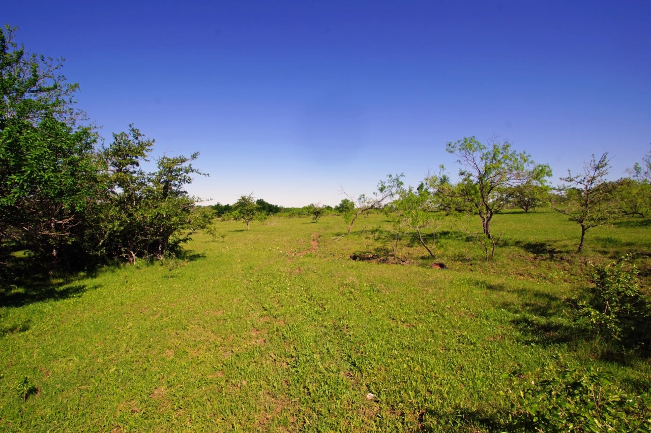 Ag Exempt Hunting Recreational Land in Holland TX Hunting Land for