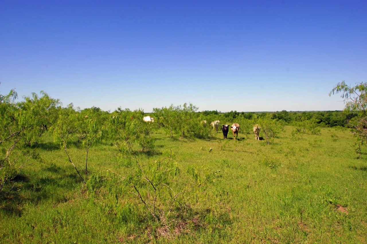 Ag Exempt Hunting Recreational Land in Holland TX Hunting Land for