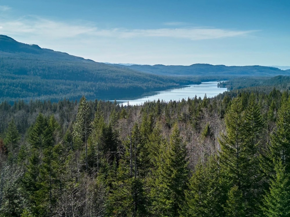 Swan Lake Overlook featured image