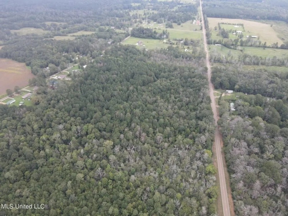 42 Acres for Sale with Old Country Home Scott Co MS featured image