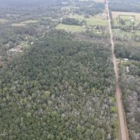 42 Acres for Sale with Old Country Home Scott Co MS