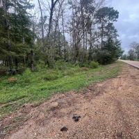 42 Acres for Sale with Old Country Home Scott Co MS images 2