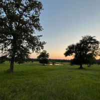 Frontier 333 images 4
