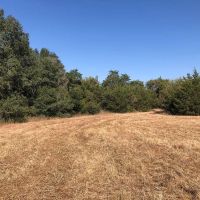 24 acres- Hwy 90 Weimar TX Fayette County images 2
