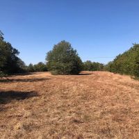 24 acres- Hwy 90 Weimar TX Fayette County images 3