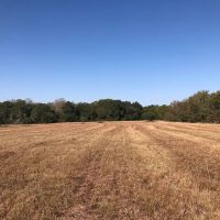24 acres- Hwy 90 Weimar TX Fayette County images 4