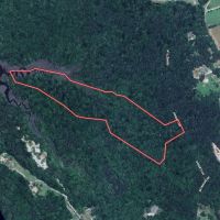 17.35 Acres of Residential Recreational and Timber Land For Sale in Isle of Wight County VA