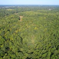 17.35 Acres of Residential Recreational and Timber Land For Sale in Isle of Wight County VA images 4