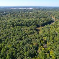 17.35 Acres of Residential Recreational and Timber Land For Sale in Isle of Wight County VA images 5