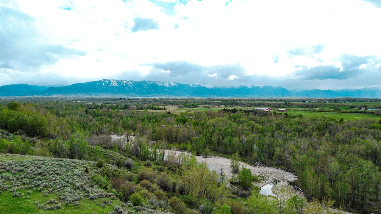 Rock Creek Overlook Hunting Land for Sale