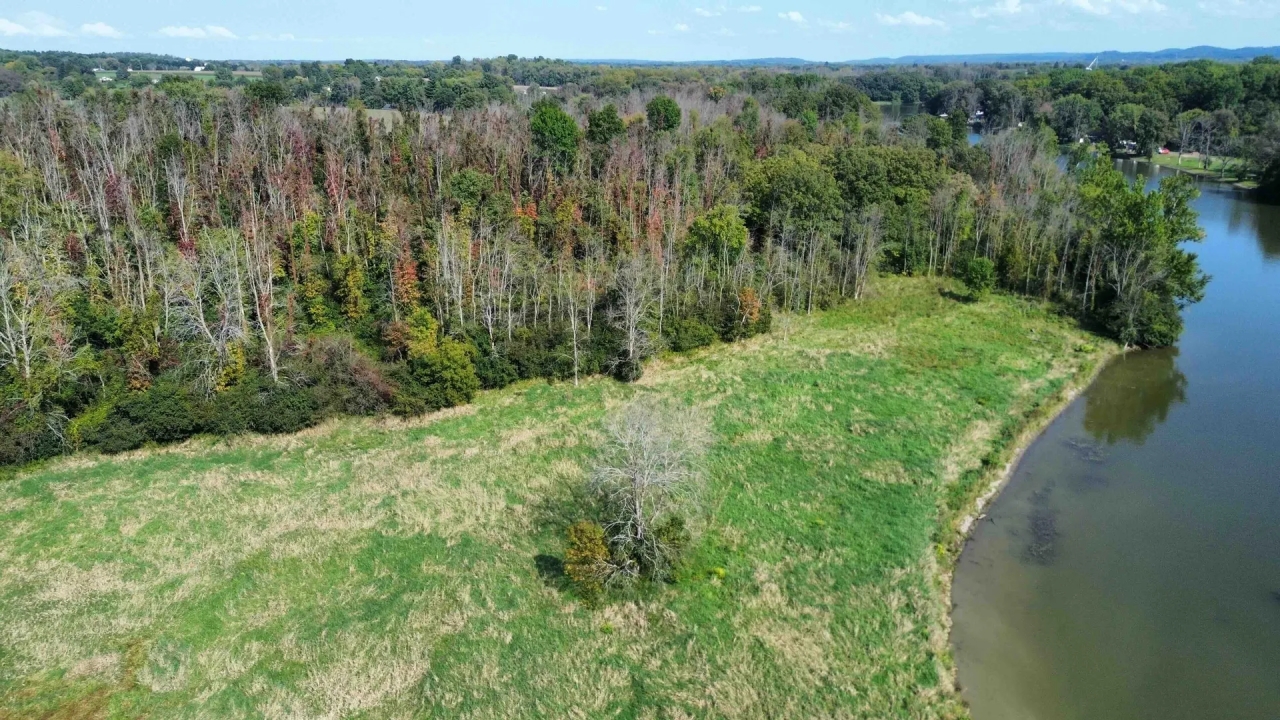 Private 53 acre Island located on the Seneca River in Weedsport NY