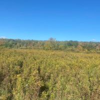 Hunting Land with Creek on 10 acres near State Land in Granger NY Kempshaw Rd