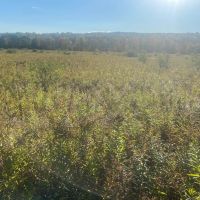 Hunting Land with Creek on 10 acres near State Land in Granger NY Kempshaw Rd images 2