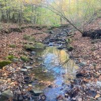 Hunting Land with Creek on 10 acres near State Land in Granger NY Kempshaw Rd images 3
