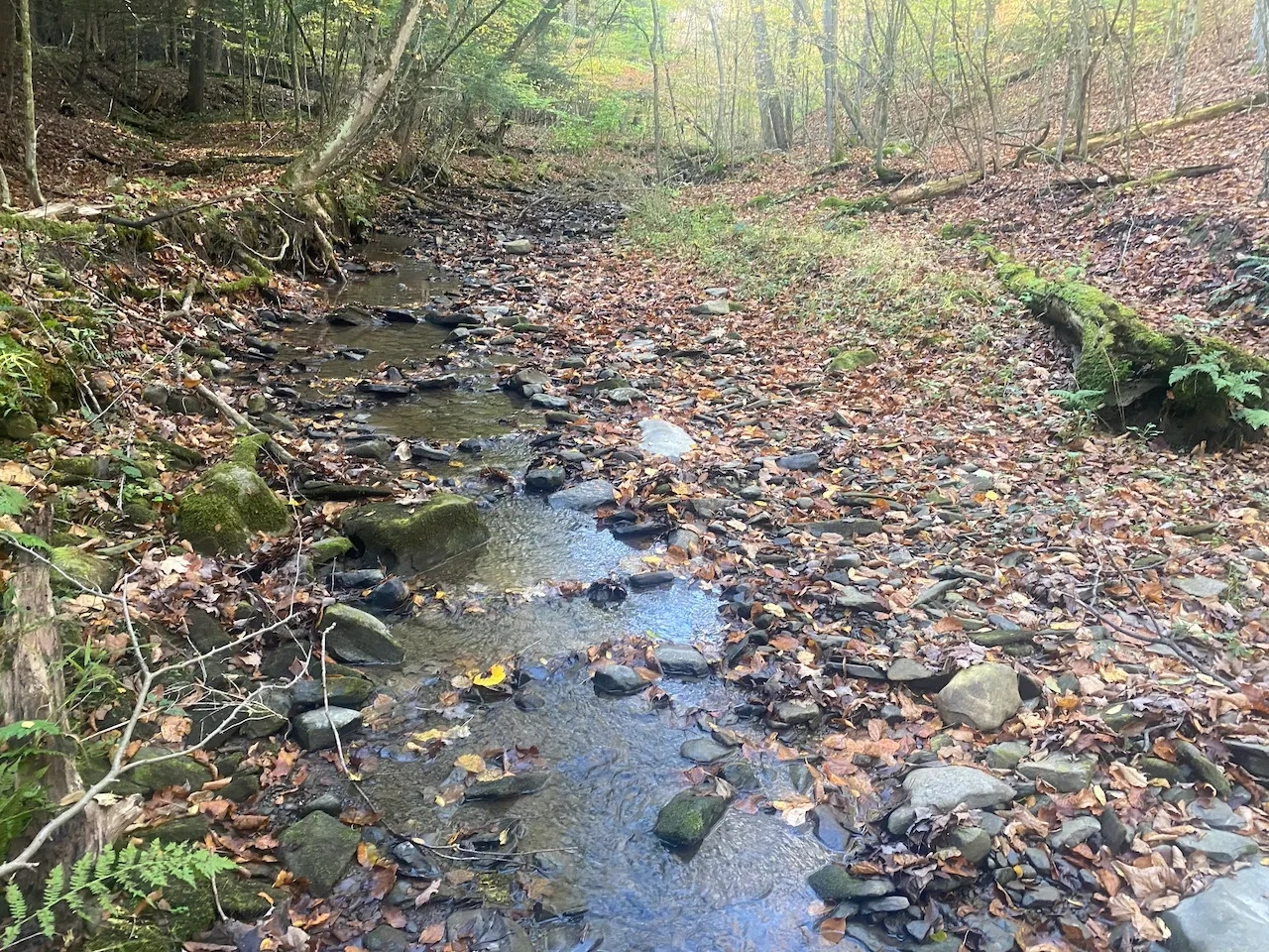 Hunting Land with Creek on 10 acres near State Land in Granger NY Kempshaw Rd Hunting Land for