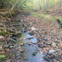 Hunting Land with Creek on 10 acres near State Land in Granger NY Kempshaw Rd images 4