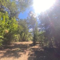 75 acres- Mature Timber- Salem School District images 5