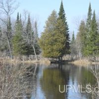 Whitefish River Acreage 50157686 images 3