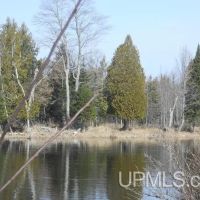 Whitefish River Acreage 50157686 images 5