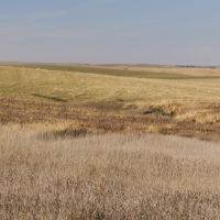 430 Acres Kamp GPA Deer and Turkey Hunting Land in Moody, SD