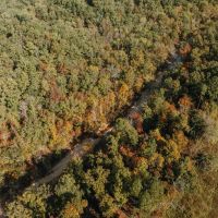 Pine Creek Escape images 2
