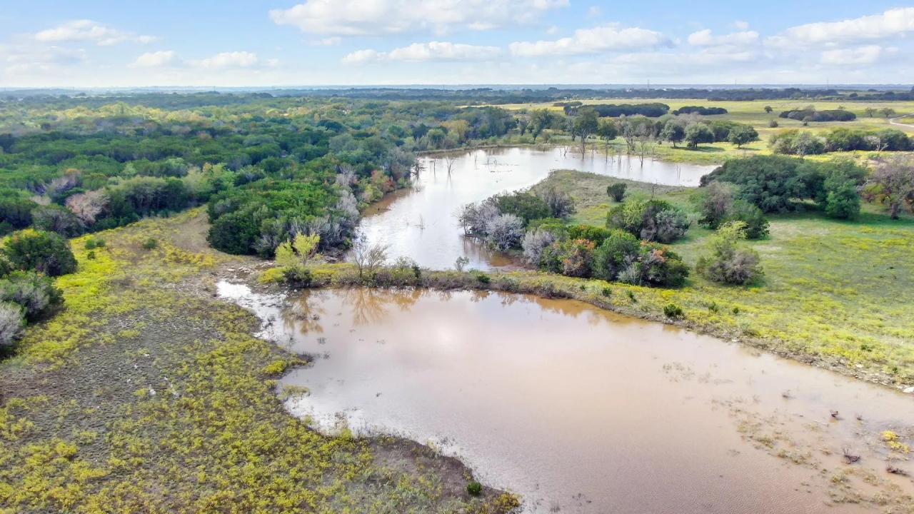 TBD State Highway 220 Unit 138 Hico Texas 76457 Hunting Land for Sale