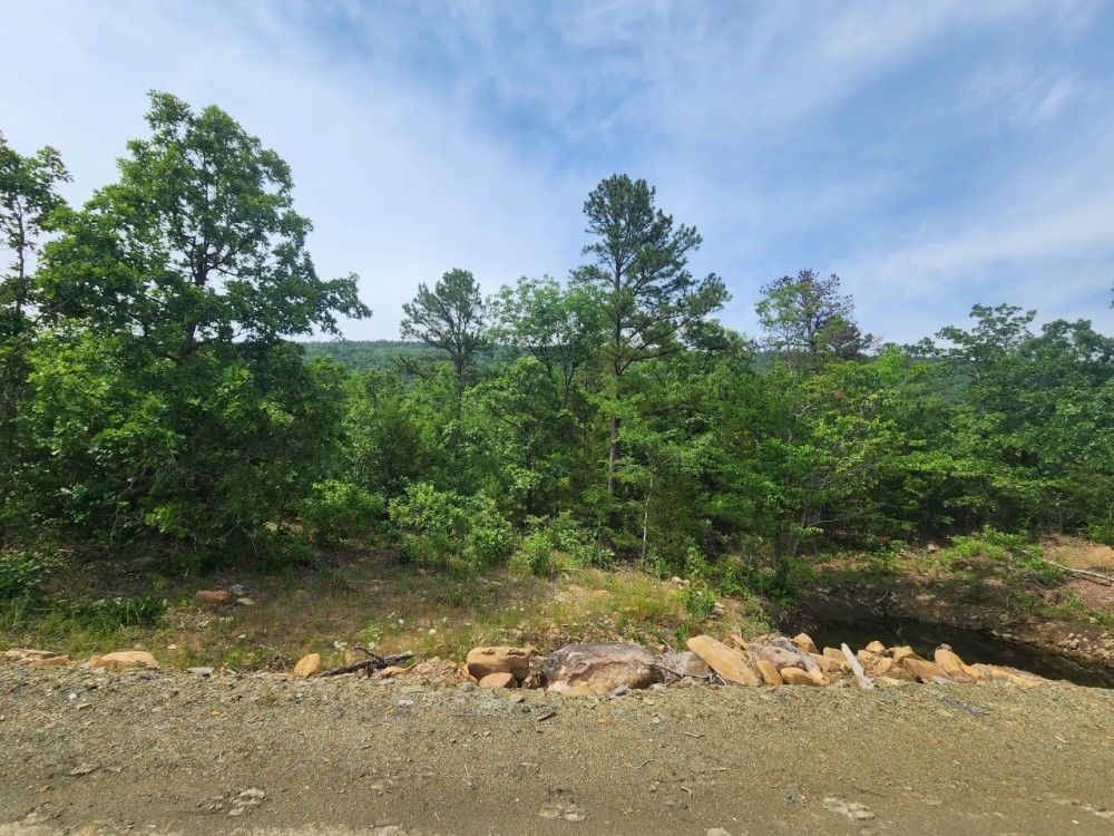 20 - Buffalo Mountain Woods featured image