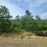 20 - Buffalo Mountain Woods