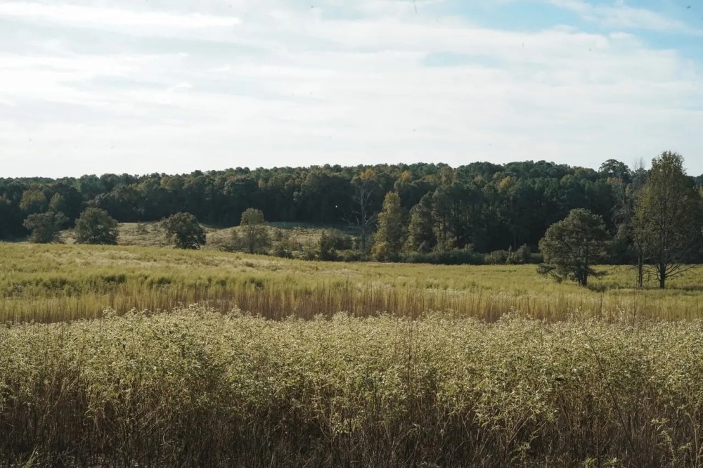 Parish Line 35 featured image