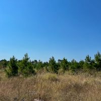 1 726 Acres Neches River Front
