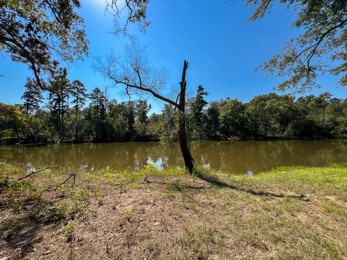 1 726 Acres Neches River Front Hunting Land for Sale HuntingLocator