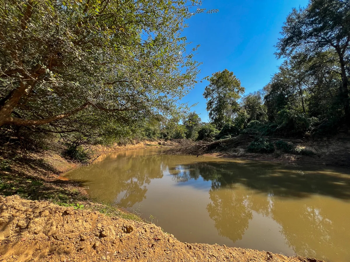 1 726 Acres Neches River Front Hunting Land for Sale HuntingLocator