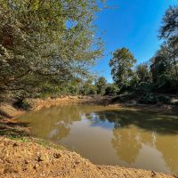 1 726 Acres Neches River Front images 5