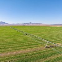 Dodge Ranch images 3