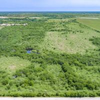 176.99 ACRES NEAR TERRELL images 3