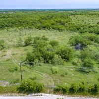 176.99 ACRES NEAR TERRELL images 4