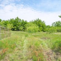 176.99 ACRES NEAR TERRELL images 5